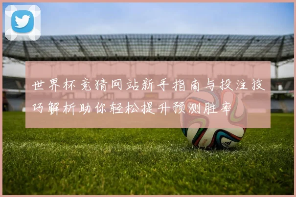 世界杯竞猜网站新手指南与投注技巧解析助你轻松提升预测胜率