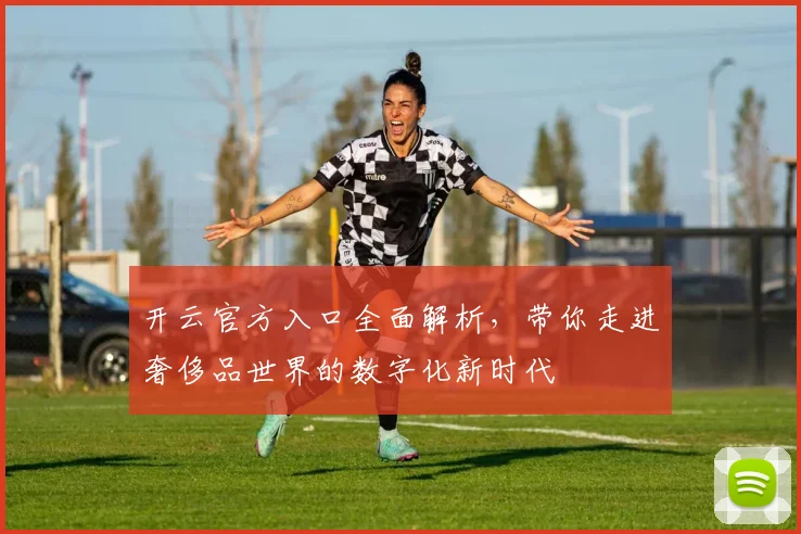 开云官方入口全面解析，带你走进奢侈品世界的数字化新时代