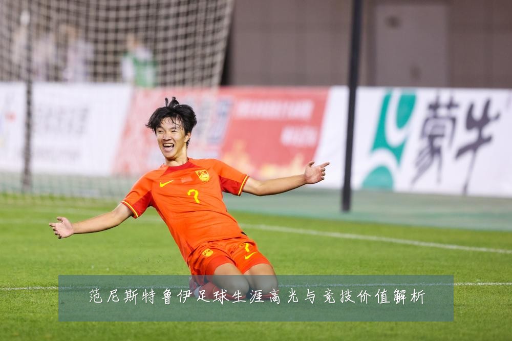 范尼斯特鲁伊足球生涯高光与竞技价值解析
