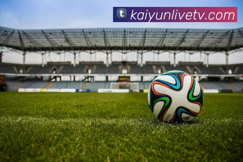 开云平台展示图