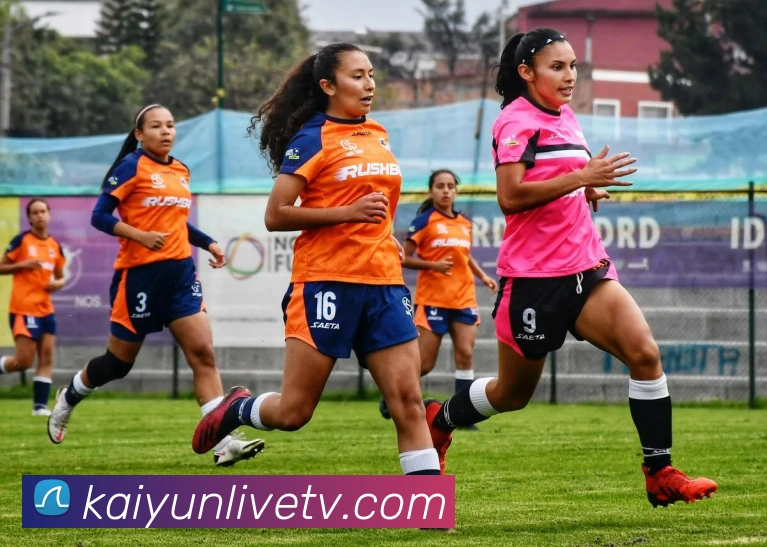 开云娱乐全站App